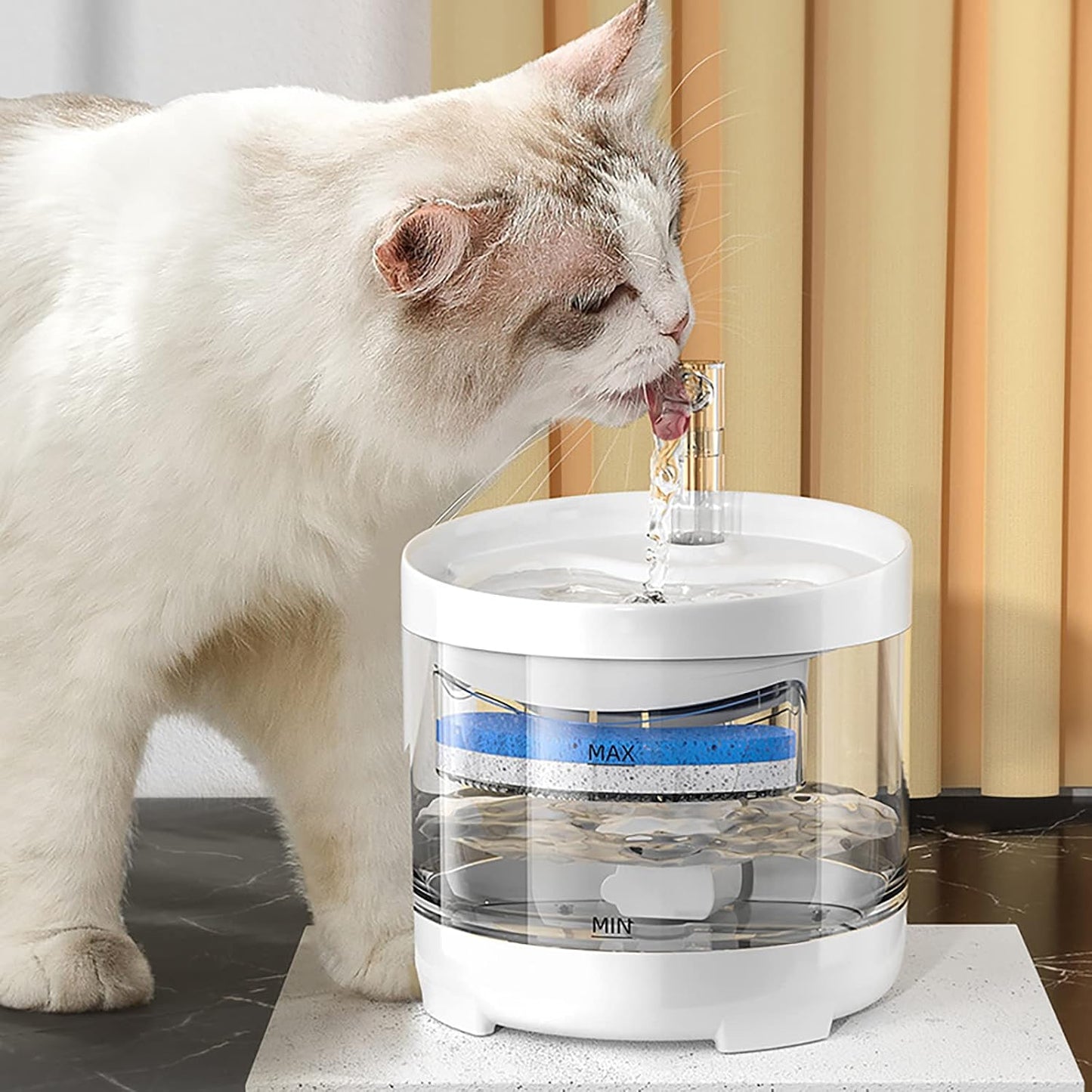 Pet Water Fountain Replacement